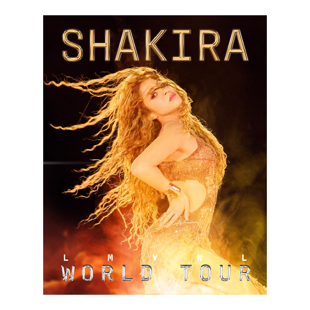 LMYNL World Tour Poster